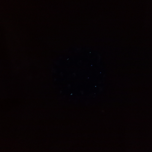 Vintage 2002 Enchanted Forest Christmas 60 Light Motion Sphere 5" 4 Functions - Picture 6 of 11